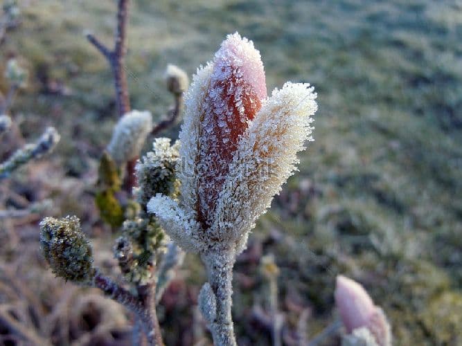 Абсолютная и относительная влажность – что это такое, формулы