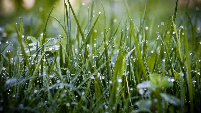 Абсолютная влажность – что это такое, что характеризует