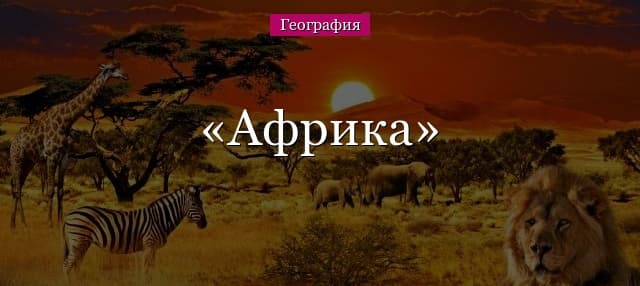 Африка – площадь и характеристика материка, на каком континенте находится