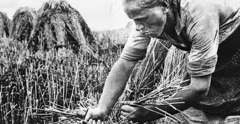 Аграрная реформа Столыпина &mdash; причины, задачи, содержание, значение