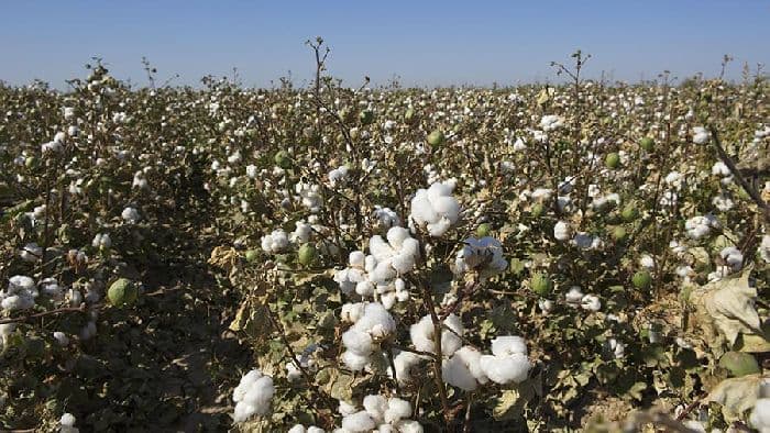 Агроклиматические ресурсы &ndash; что это такое с примерами характеристики