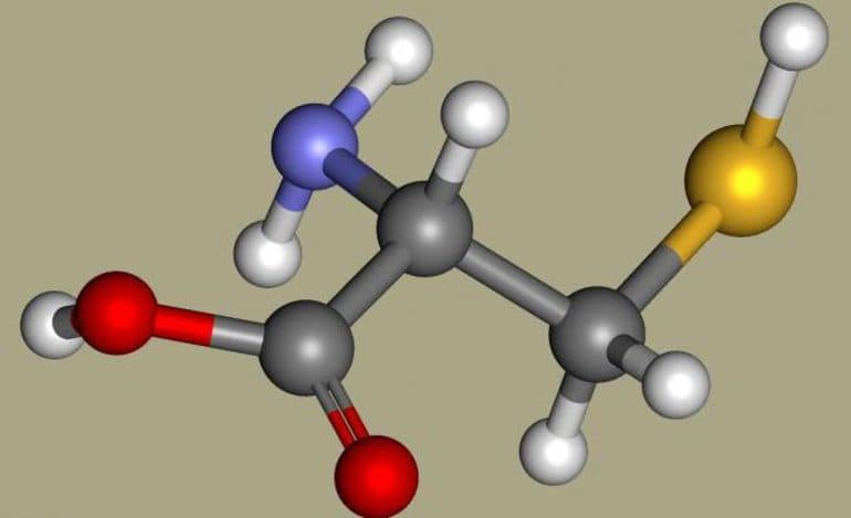 Аминокислоты — общая формула, классификация и основные свойства соединений