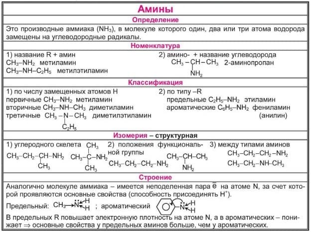 Амины &mdash; химические и физические свойства, особенности строения органических соединений