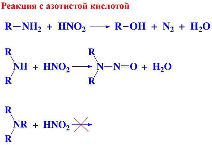 Амины &mdash; химические и физические свойства, особенности строения органических соединений