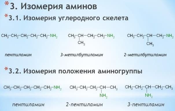 Амины &mdash; химические и физические свойства, особенности строения органических соединений