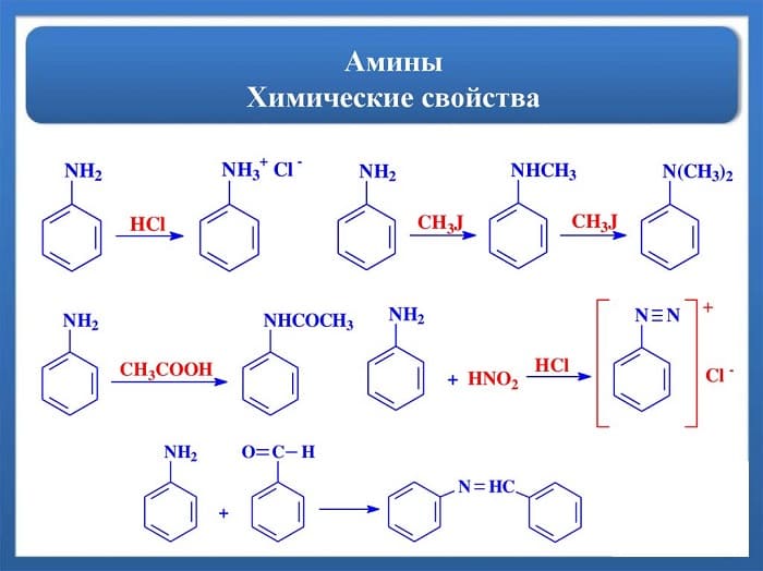 Амины &mdash; химические и физические свойства, особенности строения органических соединений