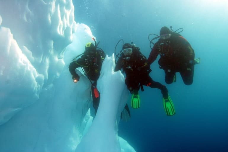 Антарктида &mdash; история открытия, освоения и интересные факты о самом холодном на Земле материке