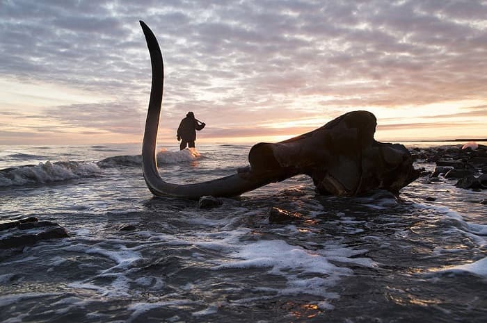 Антарктика &mdash; происхождение, расположение и основные характеристики