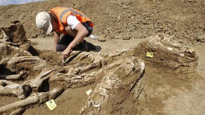 Археолог &ndash; кто это такой и чем занимаются представители профессии