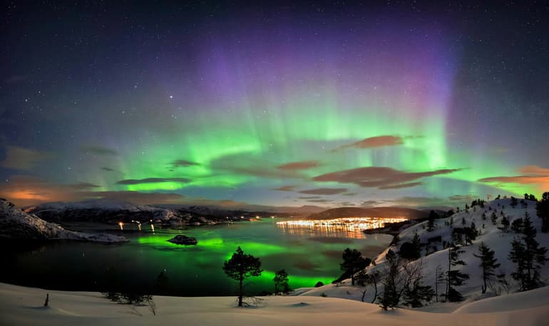 Арктика — климат, характеристика флоры и фауны