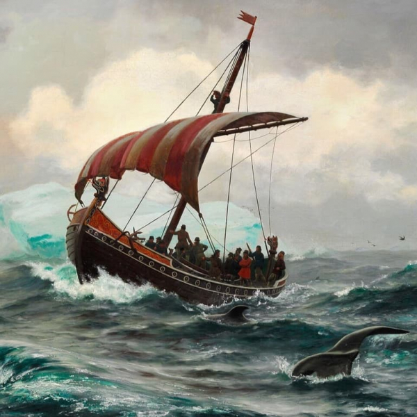 Арктика — климат, характеристика флоры и фауны