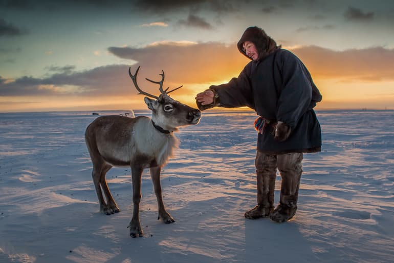 Арктика — климат, характеристика флоры и фауны