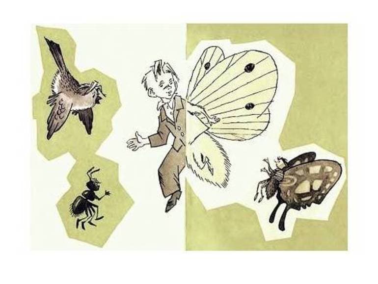 &laquo;Баранкин, будь человеком!&raquo; &mdash; краткое содержание книги для читательского дневника