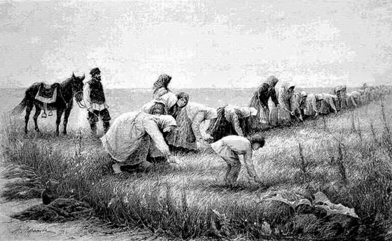 Барщина и оброк — определение, разновидности и основные отличия повинностей