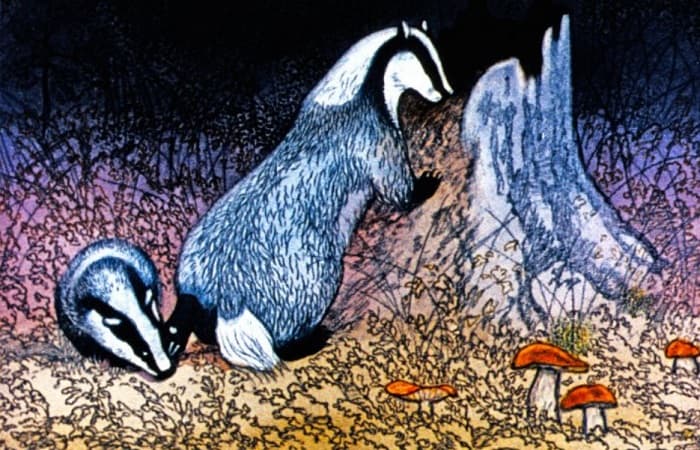 &laquo;Барсучий нос&raquo; &mdash; краткое содержание рассказа К.Г. Паустовского для читательского дневника