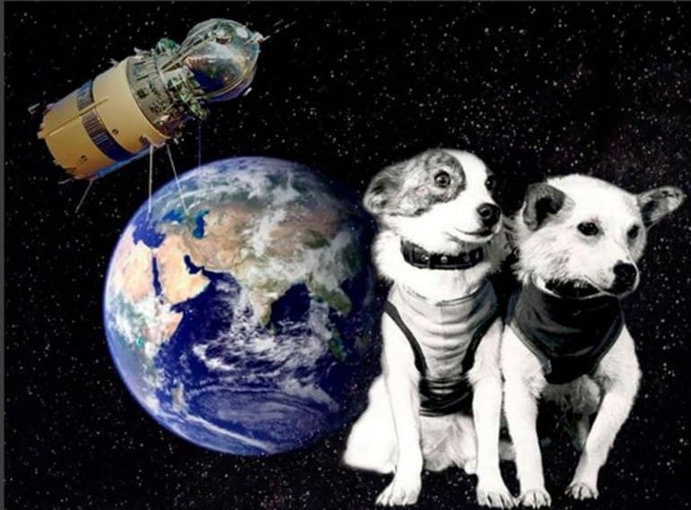 Белка и Стрелка в космосе &mdash; история полета звездных собак