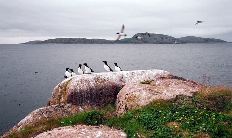 Белое море &mdash; географическое положение и общая характеристика