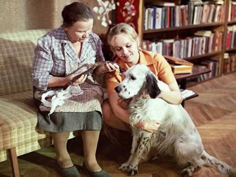 &laquo;Белый Бим черное ухо&raquo; &mdash; краткое содержание повести Гавриила Николаевича Троепольского