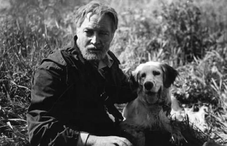 &laquo;Белый Бим черное ухо&raquo; &mdash; краткое содержание повести Гавриила Николаевича Троепольского