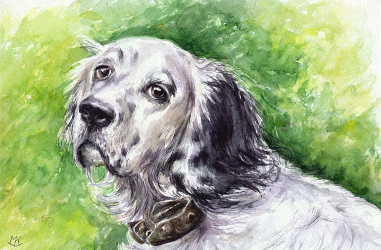 &laquo;Белый Бим черное ухо&raquo; &mdash; краткое содержание повести Гавриила Николаевича Троепольского