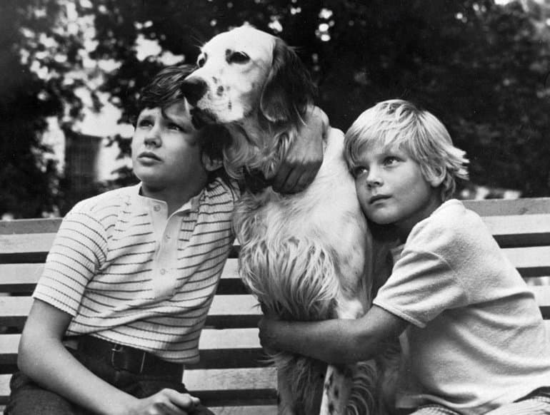 &laquo;Белый Бим черное ухо&raquo; &mdash; краткое содержание повести Гавриила Николаевича Троепольского