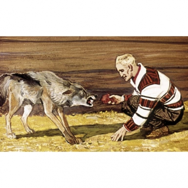 «Белый клык» — краткое содержание повести Джека Лондона