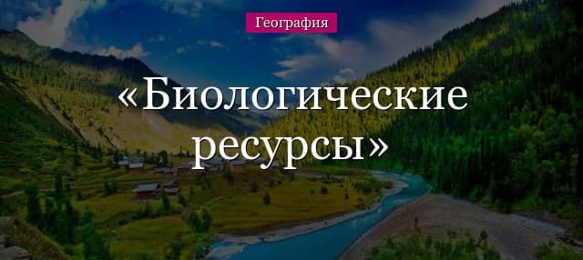 Биологические ресурсы России в таблицах (10 класс)