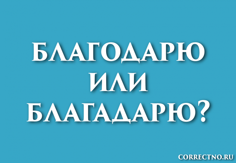 Благодарю или благадарю: как правильно пишется слово?