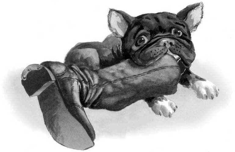 &laquo;Булька&raquo; &mdash; краткое содержание рассказа Л.Н. Толстого для читательского дневника