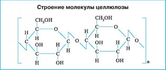 Целлюлоза &ndash; формула, строение молекул