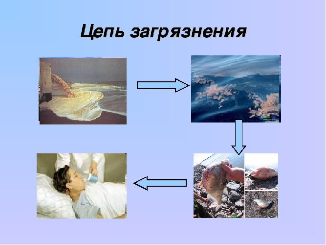 Цепи загрязнения окружающей среды – схемы кратко для детей (4 класс, окружающий мир)
