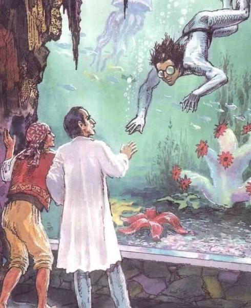 &laquo;Человек-амфибия&raquo; Александра Беляева краткое содержание