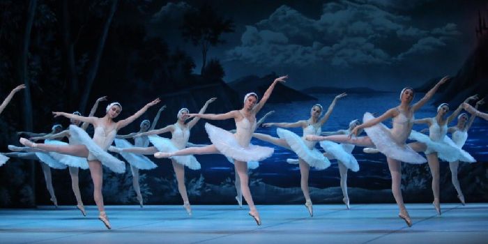 Чем человек отличается от животного&nbsp; &ndash; основные различия и признаки кратко в таблице (обществознание, 4 класс)