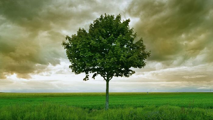 Что изучает физика как наука &ndash; кратно о явлениях, наблюдениях и опытах (7 класс)