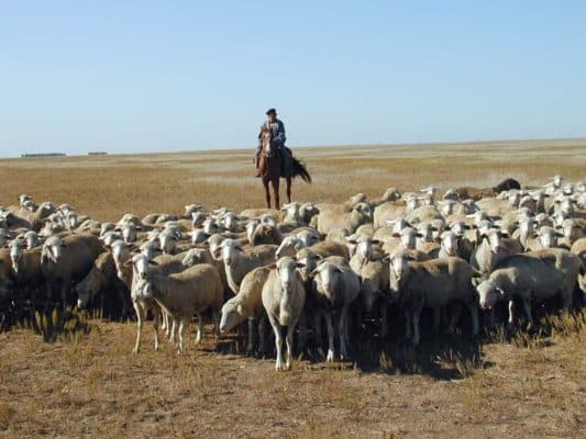 Что мы знаем о народах России (окружающий мир)