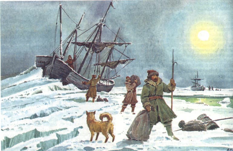 Что открыл Витус Беринг в географии — экспедиции и маршруты мореплавателя