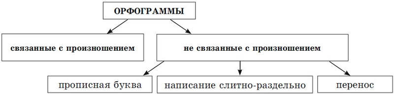 Что такое орфограмма