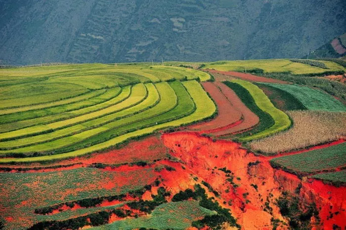 Что такое почва: состав и свойства