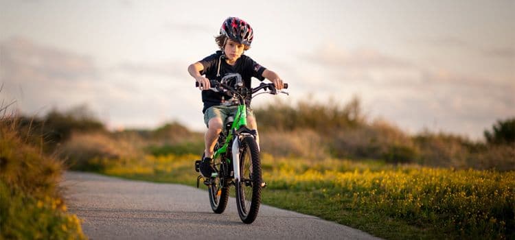 Чтобы путь был счастливым (3 класс, окружающий мир)