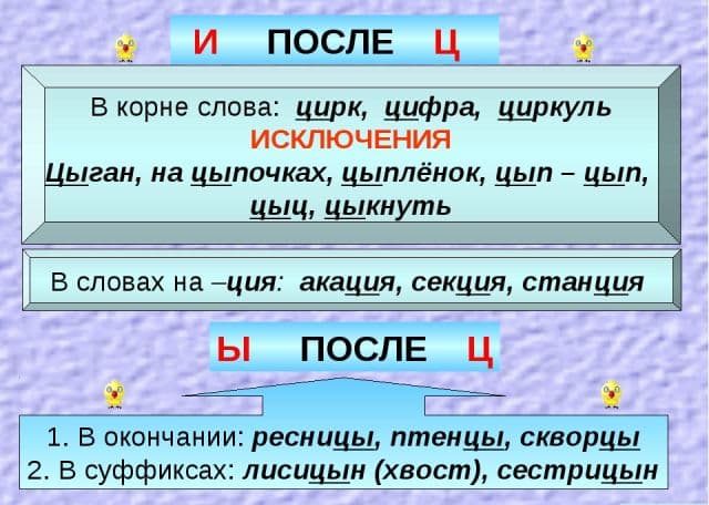 &laquo;Циркуль&raquo; или &laquo;цыркуль&raquo; как правильно пишется?