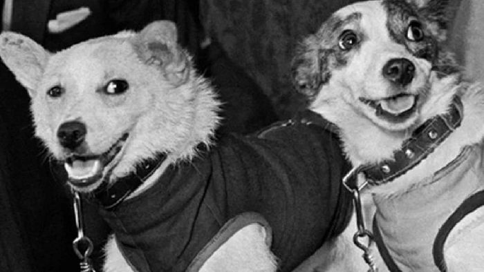 День космонавтики для детей – краткий рассказ о 12 апреля для доклада ( 1-3 класс, окружающий мир)