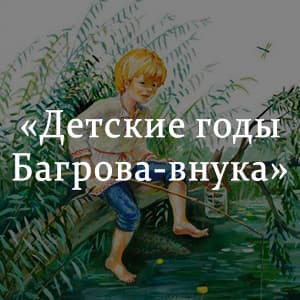 «Детские годы Багрова-внука» краткое содержание повести Аксакова – читать пересказ онлайн