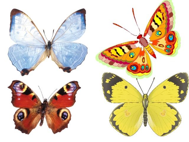 Дифракционная решетка &ndash; формула, параметры, применение устройств и классификация кратко (11 класс)