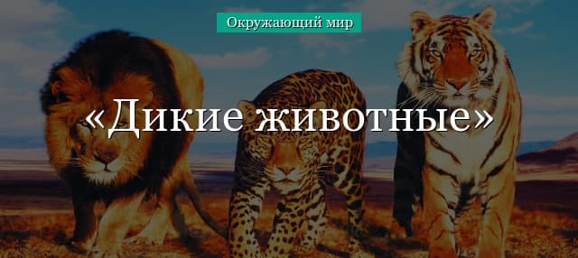 Дикие животные (окружающий мир)