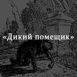 Примеры сарказма в произведении дикий помещик