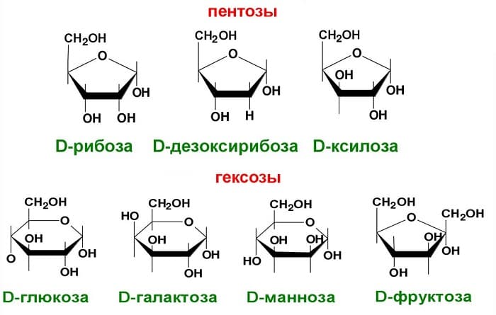 Дисахариды &mdash; структурная формула, классификация и свойства