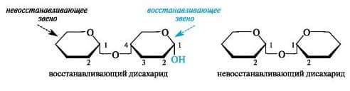 Дисахариды &mdash; структурная формула, классификация и свойства