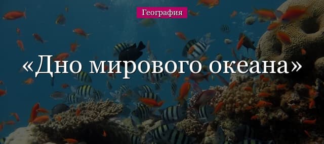 Дно мирового океана (6 класс) – основные части, срединно-океанические хребты и почва
