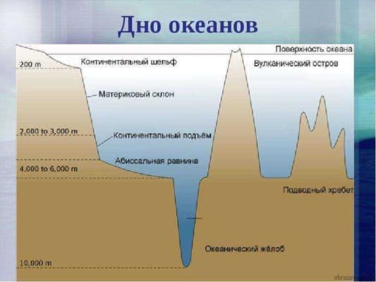 Дно мирового океана (6 класс) – основные части, срединно-океанические хребты и почва