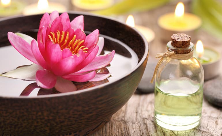 Доклад для 3 класса на тему: &laquo;Лотос орехоносный&raquo; &mdash; описание растения из Красной книги